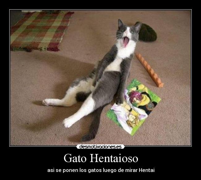 Gato Hentaioso -