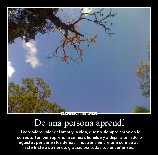 De una persona aprendí - El verdadero valor del amor y la vida, que no siempre estoy en lo
correcto, también aprendí a ser mas humilde y a dejar a un lado lo
egoísta , pensar en los demás,  mostrar siempre una sonrisa así
este triste o sufriendo, gracias por todas tus enseñanzas.