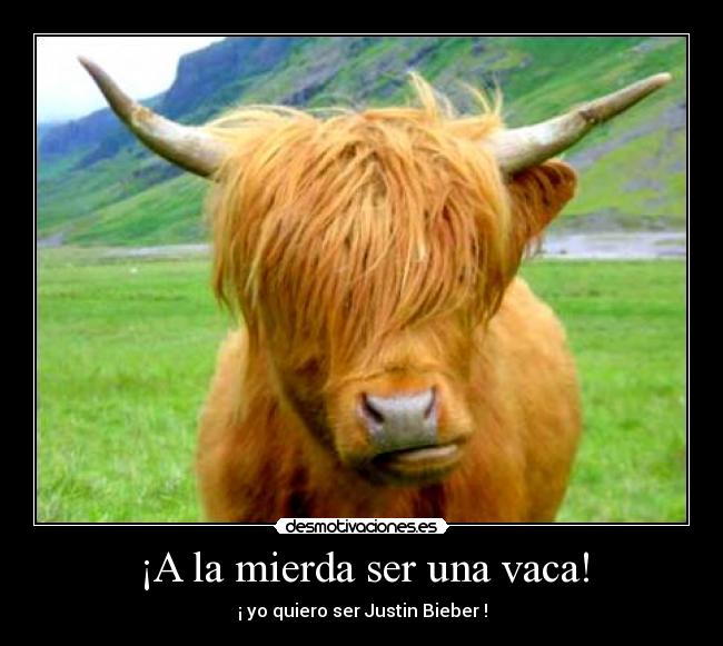 ¡A la mierda ser una vaca! - ¡ yo quiero ser Justin Bieber !