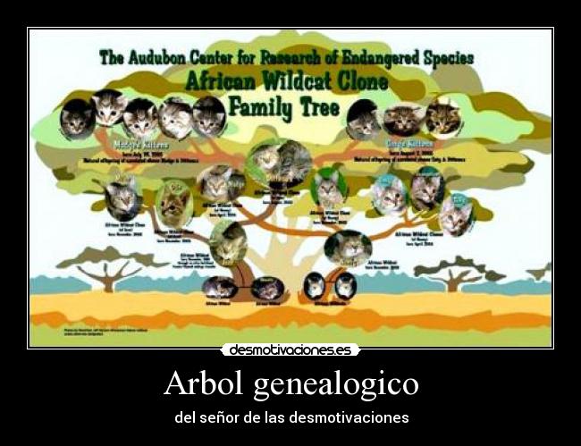 Arbol genealogico -