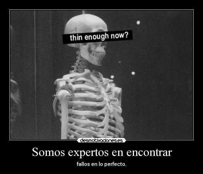 Somos expertos en encontrar - fallos en lo perfecto.