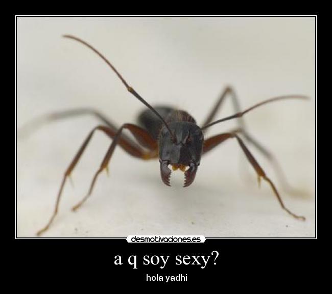 a q soy sexy? -