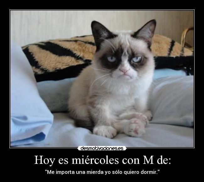 Hoy es miércoles con M de: - Me importa una mierda yo sólo quiero dormir.