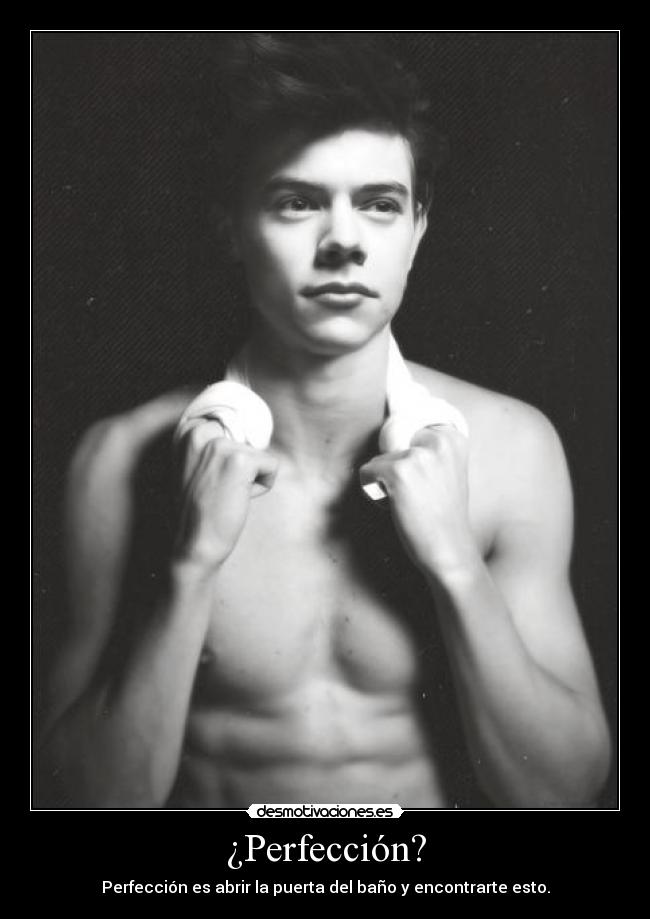 ¿Perfección? - 
