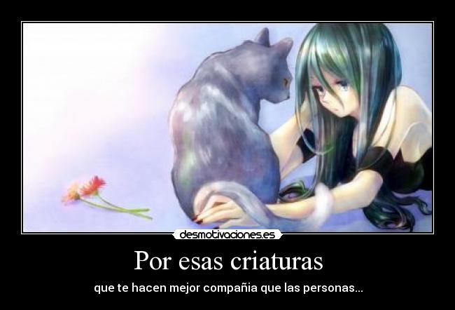 Por esas criaturas -
