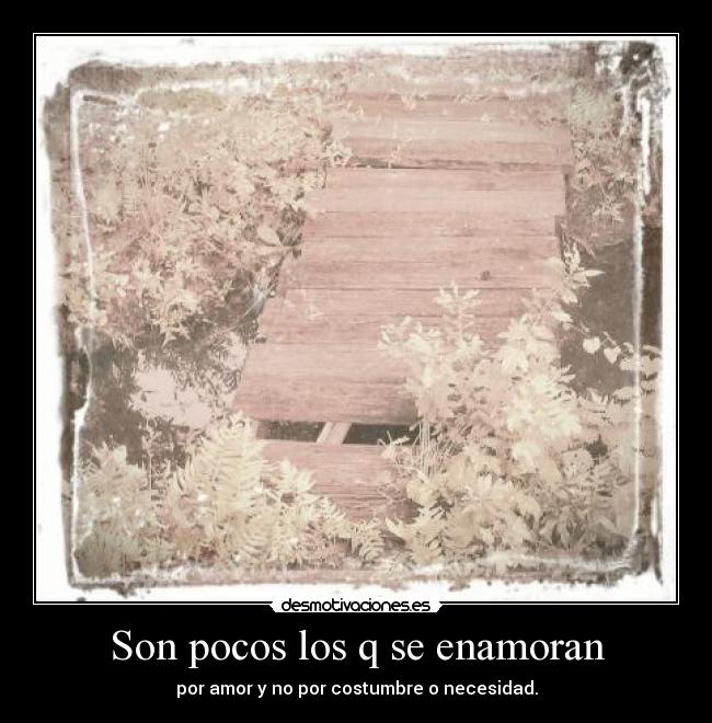 carteles gera valencia desmotivaciones