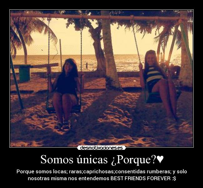 carteles andrea vanessa desmotivaciones