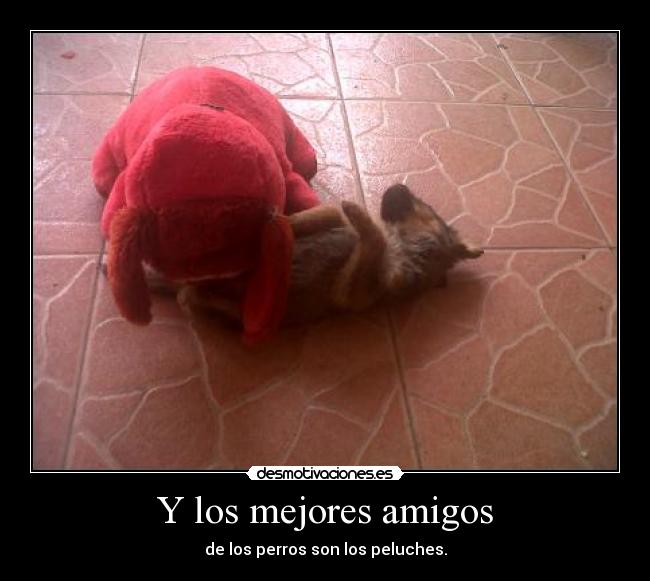 Y los mejores amigos -