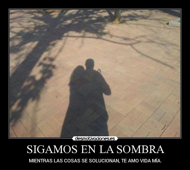 SIGAMOS EN LA SOMBRA - 