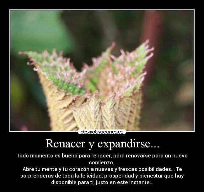 Renacer y expandirse... -
