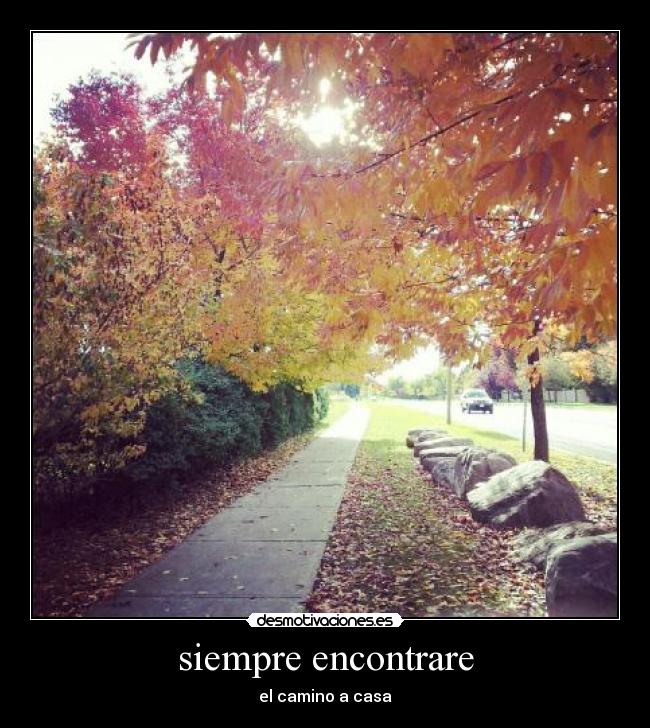 siempre encontrare - el camino a casa