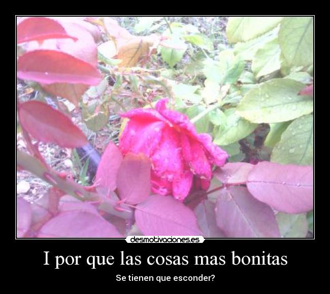 carteles liiidddiiiaaa desmotivaciones