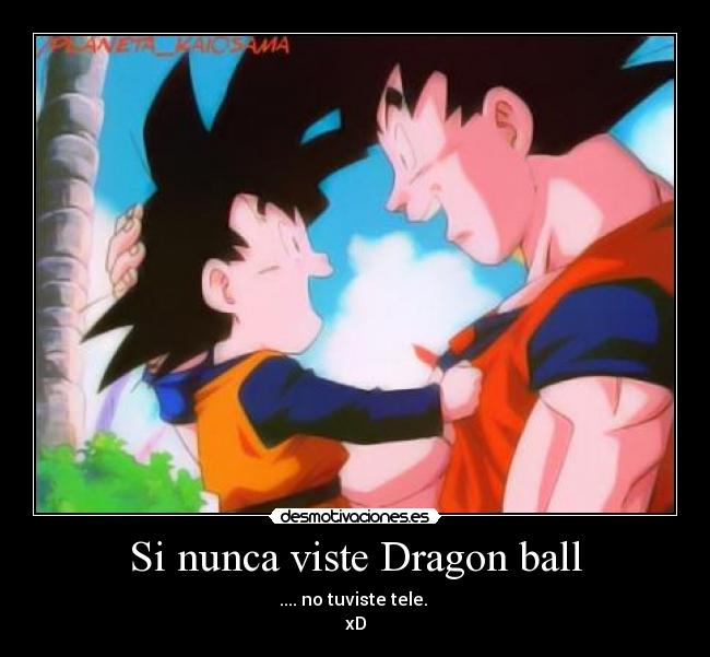 Si nunca viste Dragon ball -