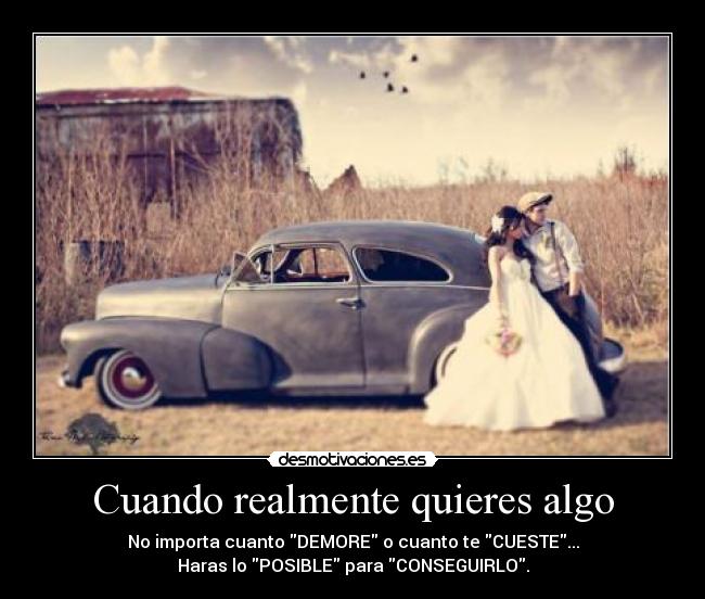 Cuando realmente quieres algo -