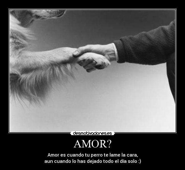 AMOR? -