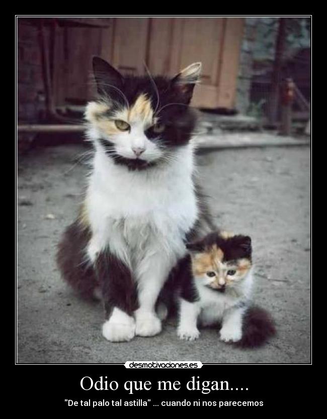 Odio que me digan.... -