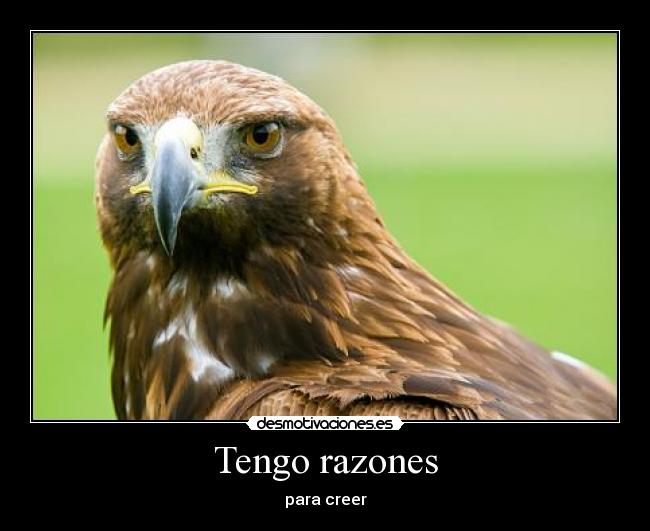 carteles malaquita desmotivaciones