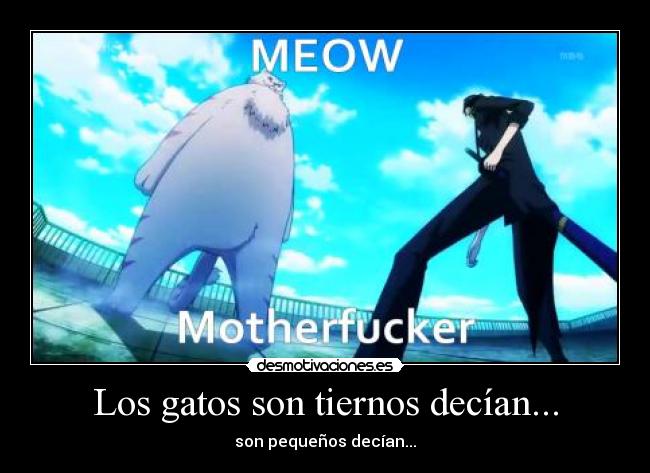 carteles gatos harukaze raptorhunters muwigaraklan 1291 project adoro neko desmotivaciones