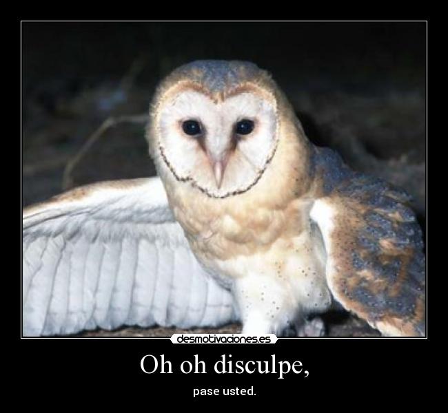 Oh oh disculpe, - pase usted.