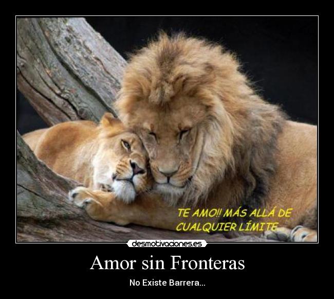 Amor sin Fronteras - No Existe Barrera...