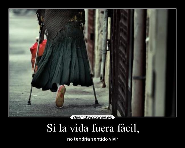 carteles vida motivadoradesmotivadora16 habla sobre que aprendido desmotivaciones