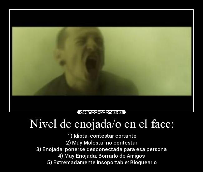 Nivel de enojada/o en el face: - 1) Idiota: contestar cortante
2) Muy Molesta: no contestar
3) Enojada: ponerse desconectada para esa persona
4) Muy Enojada: Borrarlo de Amigos
5) Extremadamente Insoportable: Bloquearlo