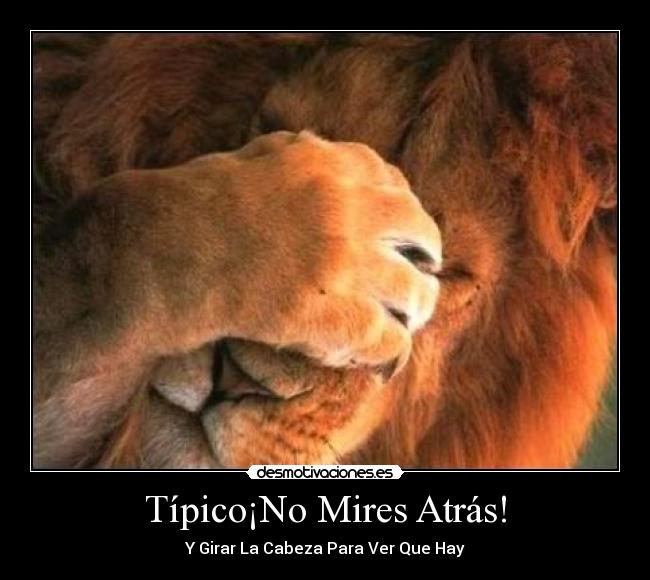 Típico¡No Mires Atrás! - 