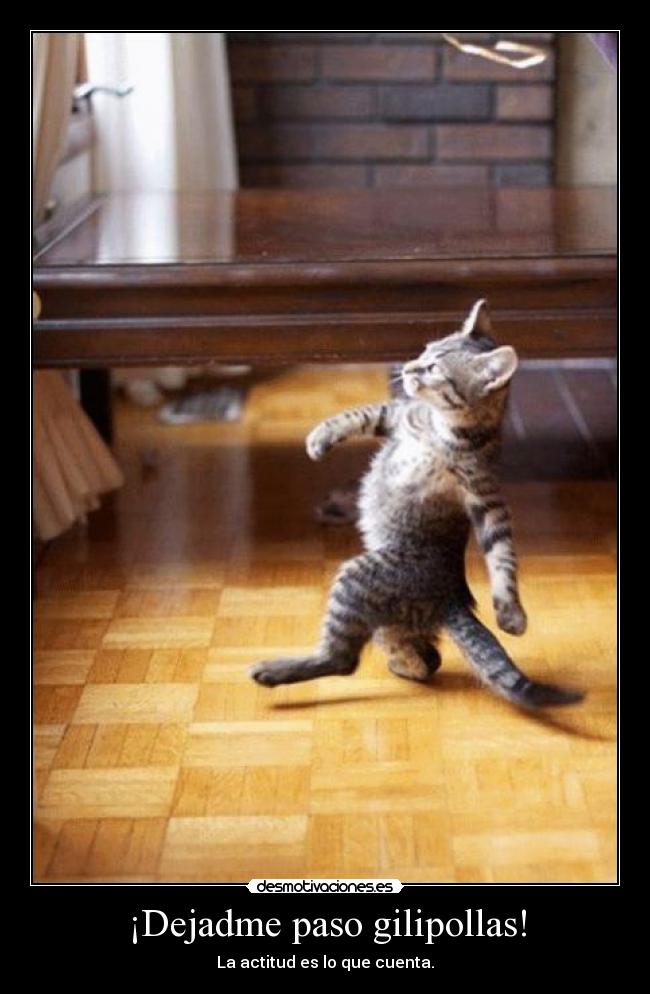 ¡Dejadme paso gilipollas! - La actitud es lo que cuenta.