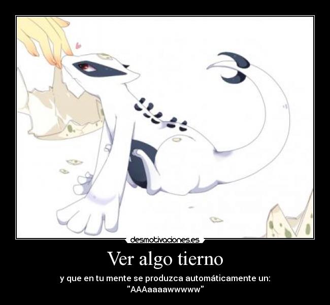 Ver algo tierno - y que en tu mente se produzca automáticamente un:
AAAaaaawwwww