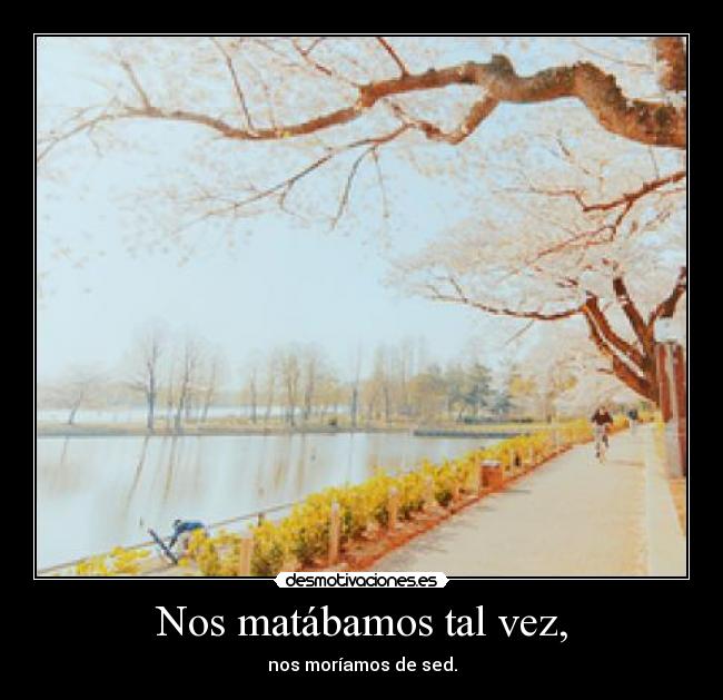 Nos matábamos tal vez, - nos moríamos de sed.