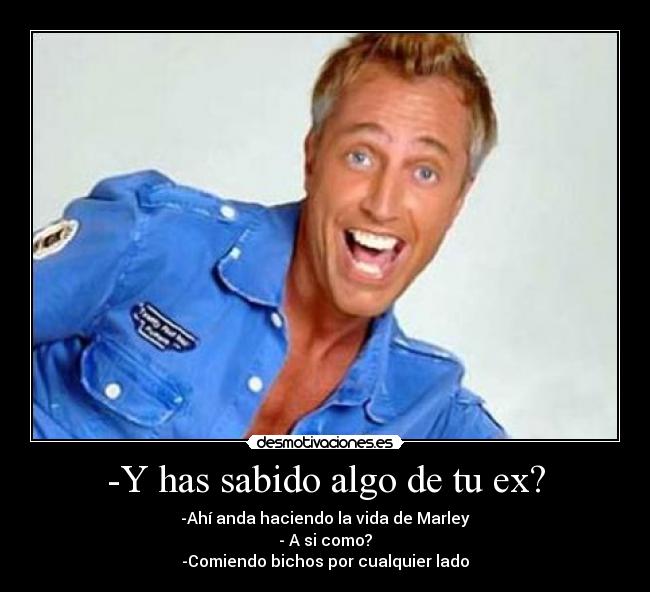 carteles  desmotivaciones