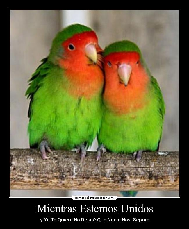 carteles mientras kiera dejare nadie intente separarnos desmotivaciones