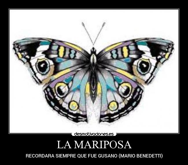 LA MARIPOSA - RECORDARA SIEMPRE QUE FUE GUSANO (MARIO BENEDETTI)