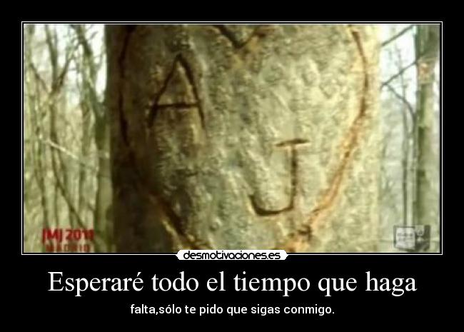 Esperaré todo el tiempo que haga - falta,sólo te pido que sigas conmigo.