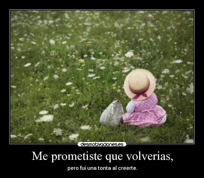 Me prometiste que volverias, - pero fui una tonta al creerte.