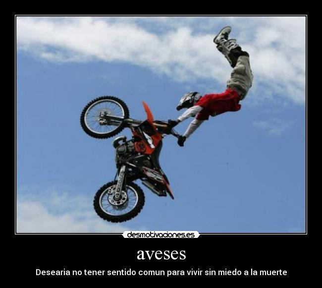 carteles aveses desearia tener desmotivaciones