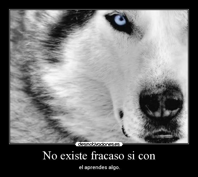 No existe fracaso si con - el aprendes algo.