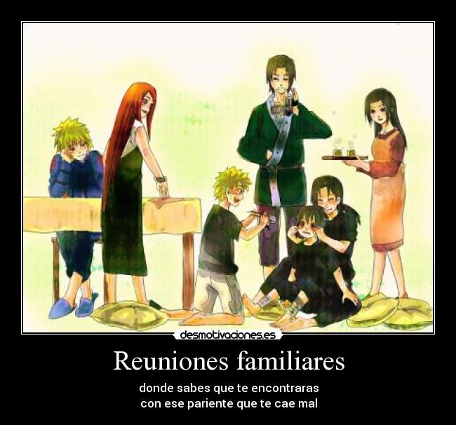 Reuniones familiares - 