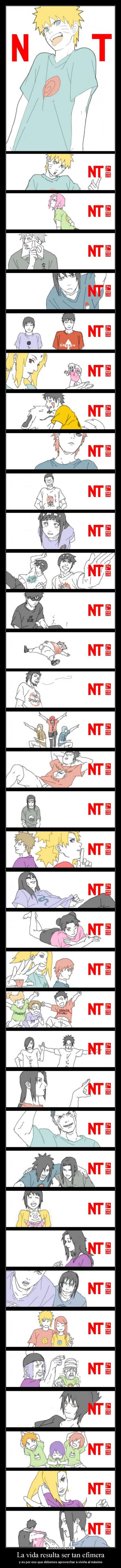 La vida resulta ser tan efímera - y es por eso que debemos aprovechar a vivirla al máximo