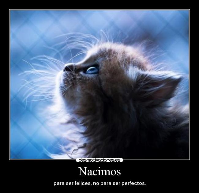 carteles rubbiittoo rules yeah desmotivaciones