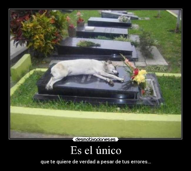 Es el único - que te quiere de verdad a pesar de tus errores...