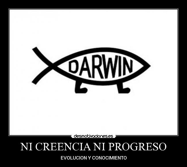 NI CREENCIA NI PROGRESO - EVOLUCION Y CONOCIMIENTO