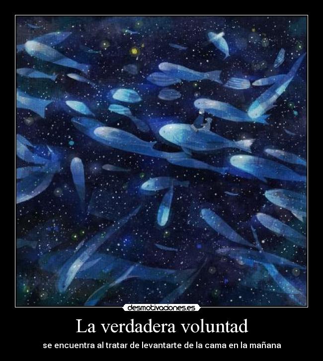 La verdadera voluntad - 