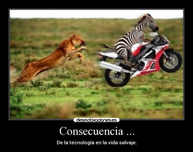 carteles karlos desmotivaciones