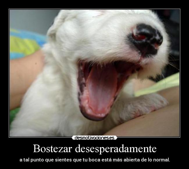 Bostezar desesperadamente - a tal punto que sientes que tu boca está más abierta de lo normal.