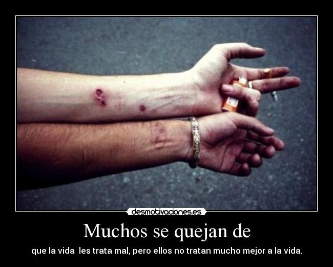 carteles que asco agujero del culo bueno tambien pero refiero brazo ese luggage idiotapuedese desmotivaciones