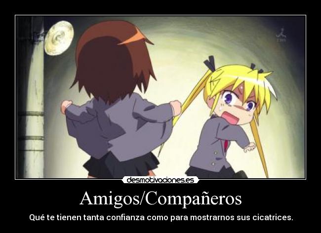 Amigos/Compañeros -