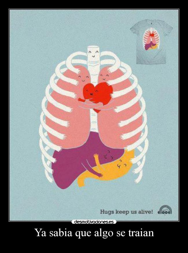 Ya sabia que algo se traian -