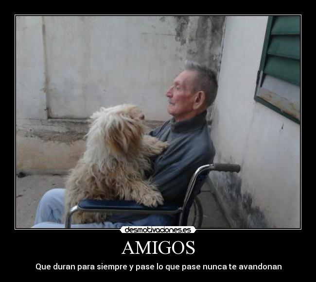AMIGOS -
