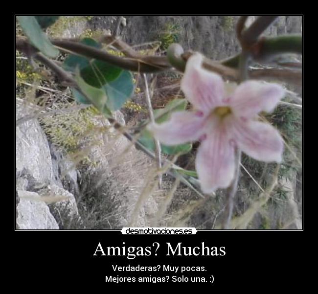 carteles amigas desmotivaciones